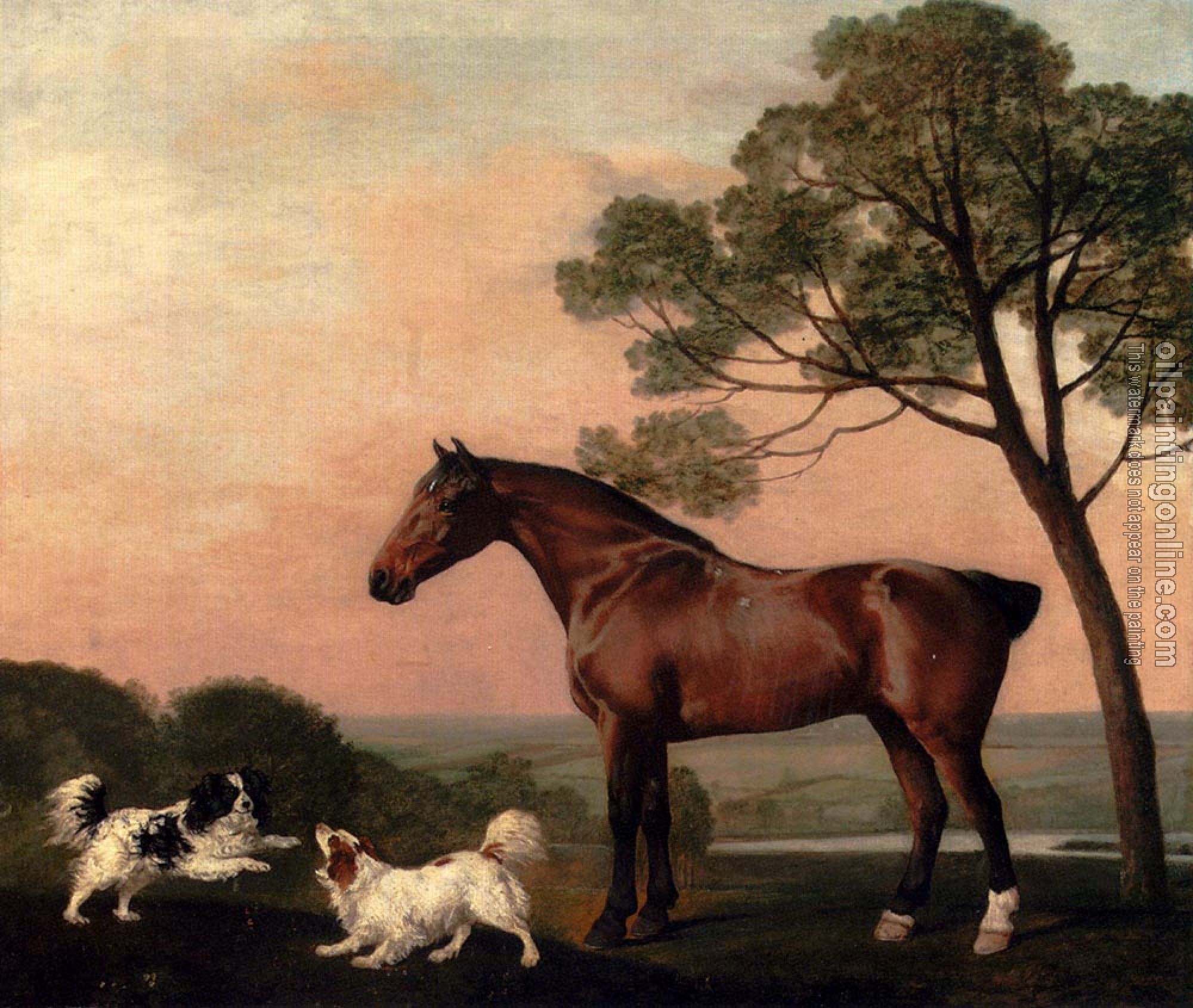Stubbs, George - A Bay Hunter With Two Spaniels